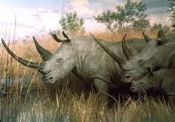 Hơn 150 loài động, thực vật có nguy cơ tuyệt chủng