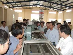 Đồng Tháp: Đưa vào hoạt động chợ đầu mối trái cây