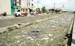 Bài 1 Đua nhau lấn chiếm ảnh 2