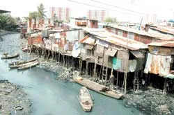 Bài 1 Đua nhau lấn chiếm
