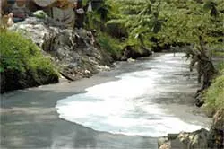 Bài 2: Vĩnh biệt những dòng sông xanh