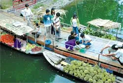 Cơm ngon, nhưng còn “sạn”