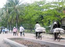 Lại “sốt” giá đường! ảnh 2