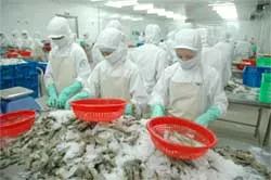 Nhập khẩu thủy sản có chiều hướng tăng