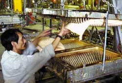 Ngưng giới thiệu!