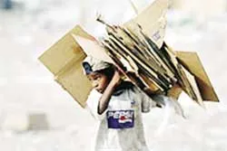 100 triệu trẻ em làm việc trong môi trường nguy hiểm