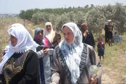 Xem xét lại kế hoạch viện trợ cho Palestine