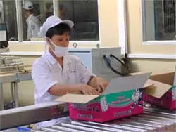 Các nhà đầu tư háo hức