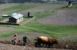 Quốc hữu hóa đất đai