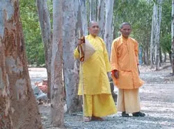 Đã xanh lại rừng xưa