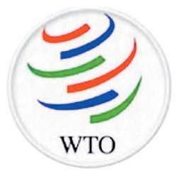 Viet Nam’s WTO Accession to Achieve Positive Final Result ảnh 1