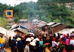 Thị trường hóa