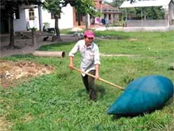 Săn châu chấu tậu nhà lầu