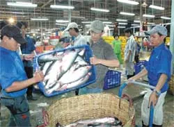 1.000 tấn thủy hải sản, rau củ quả/ngày đêm