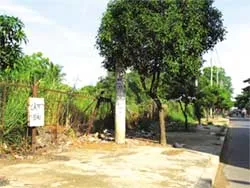 Có công viên nhưng thiếu chỗ vui chơi