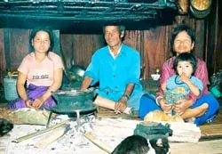 “Cha đẻ” một miền rừng ảnh 2
