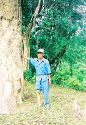 “Cha đẻ” một miền rừng