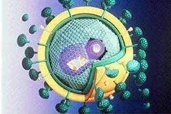 Đối mặt với thách thức