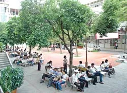 Đa dạng sắc thái văn hóa Sài Gòn