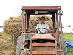 Làng vựa rơm