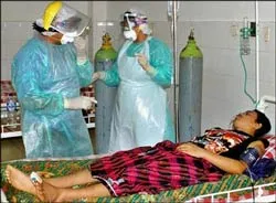 Thêm 5 trường hợp tử vong vì cúm gia cầm