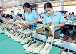 DN cần “con cá” hay “cần câu”? ảnh 2