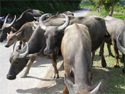 Những điều cần biết