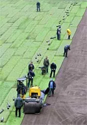 Tin bóng đá ảnh 1