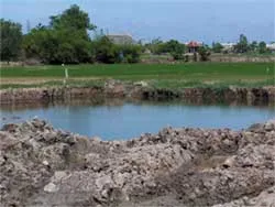 Mua bán đất mặt vẫn tiếp diễn