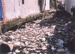 60% kênh, rạch bị ô nhiễm