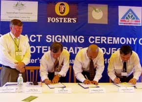 Protein Bait Kills Fruit Flies in Mekong Delta ảnh 1