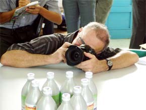 Protein Bait Kills Fruit Flies in Mekong Delta ảnh 2