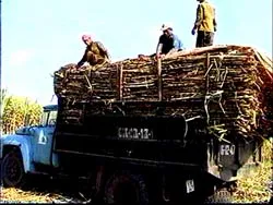 Nông dân là đối tác lâu bền