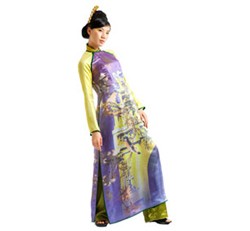 Ao Dai to Be Honored in Hue Festival 2006 ảnh 1