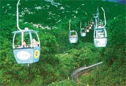 Cáp treo không hoạt động khi mưa