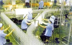 Sự liên kết của 2 thương hiệu mạnh