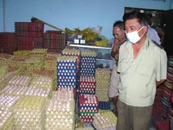 Bài 1: Gia cầm sống - cấm nhưng vẫn bán(?!) ảnh 2