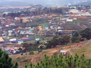 Highland Resort City of  Da Lat to Become Green Bio-Valley ảnh 1
