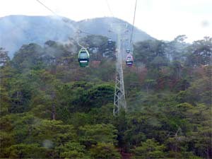Highland Resort City of  Da Lat to Become Green Bio-Valley ảnh 4