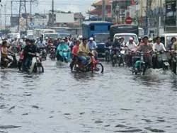 Đặt hàng cơ quan khoa học khắc phục tình trạng ngập lụt TPHCM