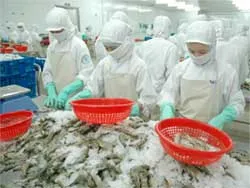 Có thể đạt 2,8 tỷ USD