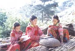 Vùng rừng thiêng ảnh 2