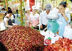 Chợ trái cây Suối Tiên thu hút 8.000 lượt khách/ngày