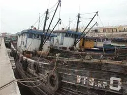 40.000 tàu đánh cá sẽ thành... san hô? ảnh 2