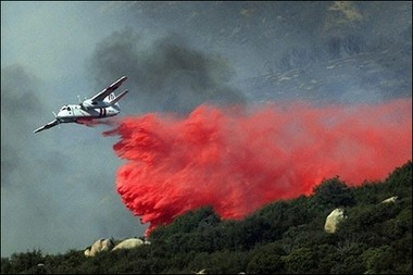 California Sets 400,000 Dollar Reward for Capture of Arsonist ảnh 1