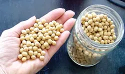 Cẩn thận khi cho trẻ dùng sữa đậu nành