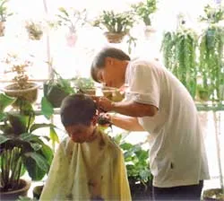 Những ước mơ xanh ảnh 2
