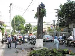 Đạt tỷ lệ quá thấp ảnh 2