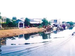 Triệu phú nông dân ở vùng căn cứ cũ