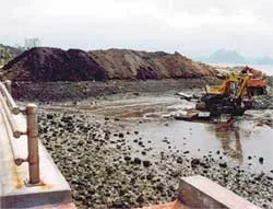 San hô chết hàng loạt